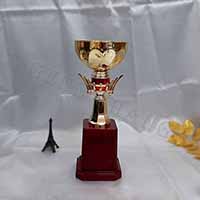 T11003-1.jpg